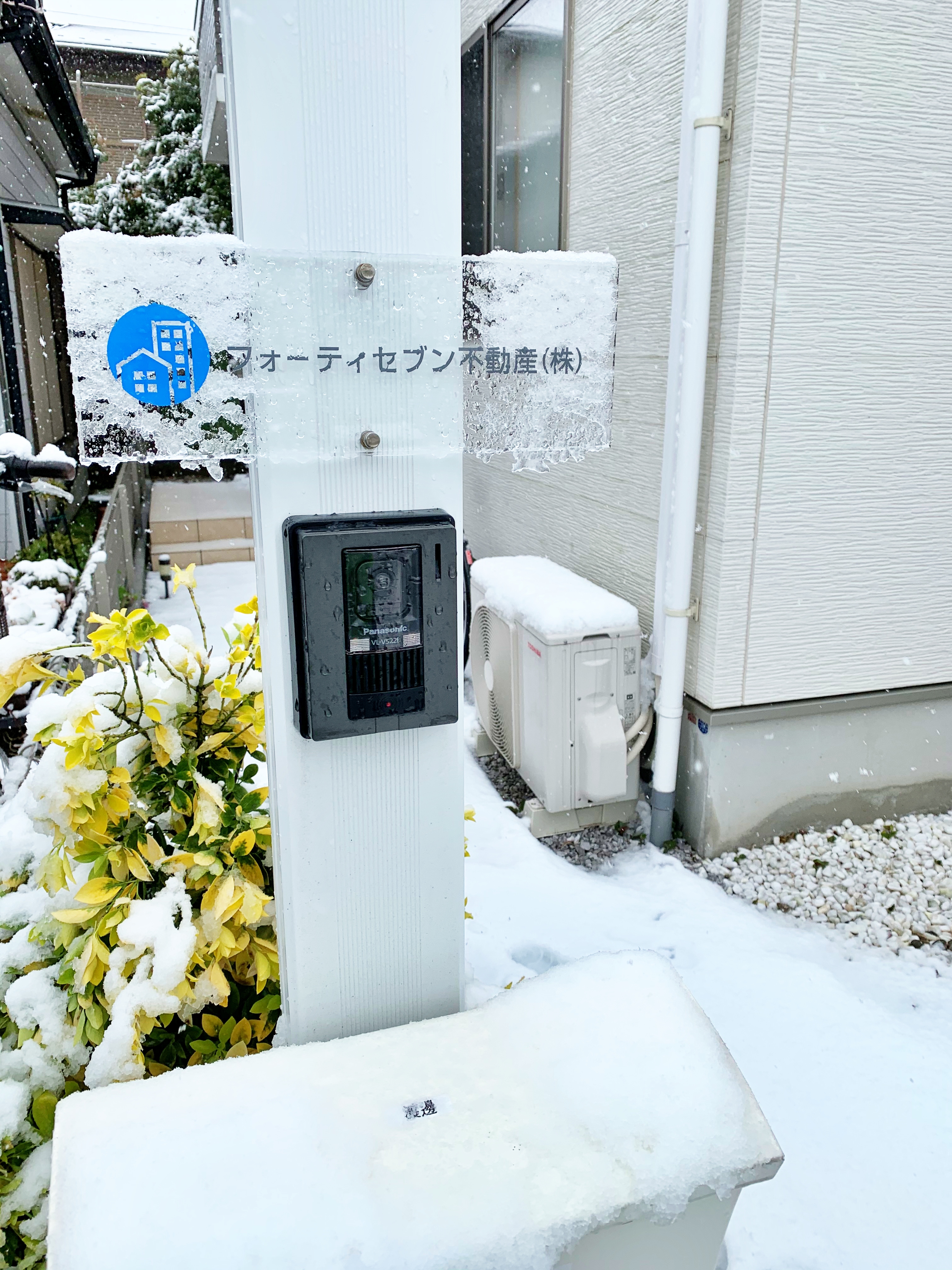 雪 雪