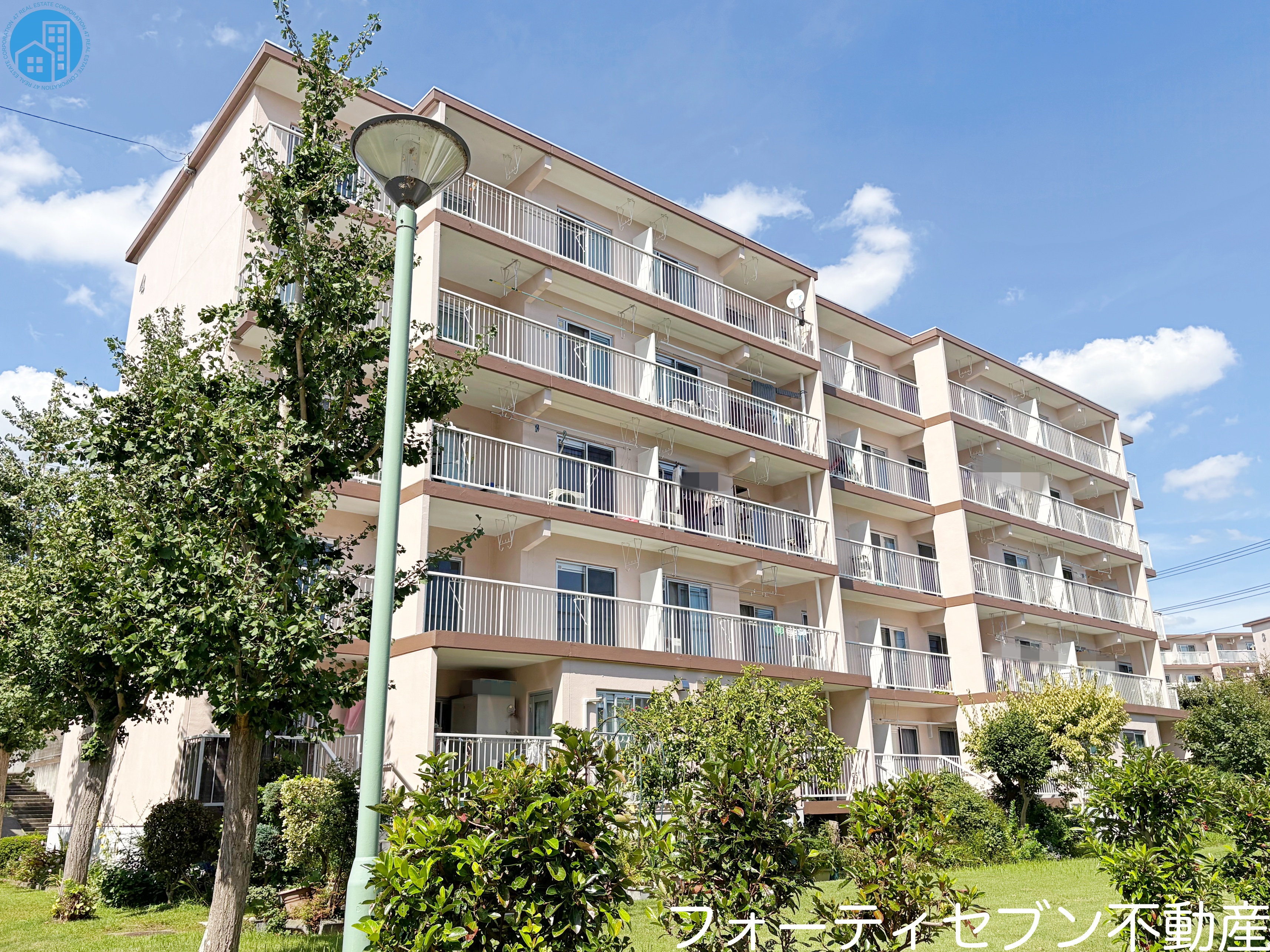 �a�򒆉���n�C�c�l����